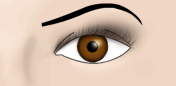 Ojo con sombra oscura - Fig.2