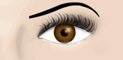 Ojo con pesta&ntilde;as -  Fig.4