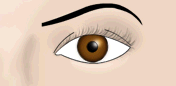 Maquillaje de Pesta&ntilde;as - Fig.1