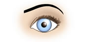 Maquillaje de ojos redondos y grandes