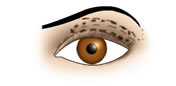Maquillaje de Ojos Hundidos - Fig.1