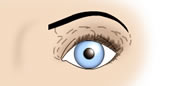 Maquillaje de Ojos Muy Separados - Fig.1
