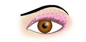 Maquillaje de Ojos Almendrados - Fig.2