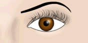Maquillaje de Pesta&ntilde;as - Fig.3