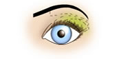 Maquillaje de Ojos Redondos y Grandes - Fig.2