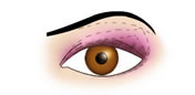 Maquillaje de Ojos Almendrados - Fig.3