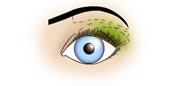 Maquillaje de Ojos Redondos y Grandes - Fig.3