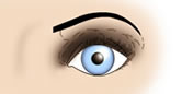 Maquillaje de Ojos Muy Separados - Fig.3