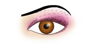 Maquillaje de Ojos Almendrados - Fig.4