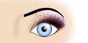 Maquillaje de Ojos Muy Juntos - Fig.4