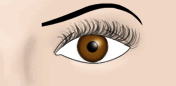 Maquillaje de Pesta&ntilde;as - Fig.5
