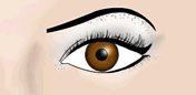 Maquillaje de Ojos Retro - Fig.5