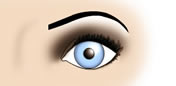 Maquillaje de Ojos Muy Separados - Fig.5