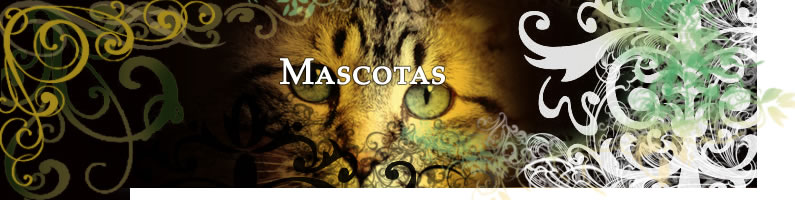 Mascotas - Pets