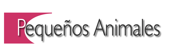 Mascotas - Pets - Animales Dom�sticos y Caseros - Hamsters Cobayos - Conejos y Periquitos - Inolvidables15
