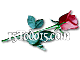 P�gina Foto Mural - Fiestas de 15 a�os, bodas, cumplea�os, bat y bar mitzv� y todo tipo de eventos - 15TODO15 - 