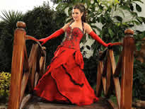 Vestidos de Fiesta - Foto N�:1 de MERCEDES FRANCO - T�tulo: 15 A�os y Novia Retro