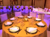 Salones de Fiesta - Foto N�:6 de SALON CONTINENTAL - T�tulo: Recepci�n Fiestas