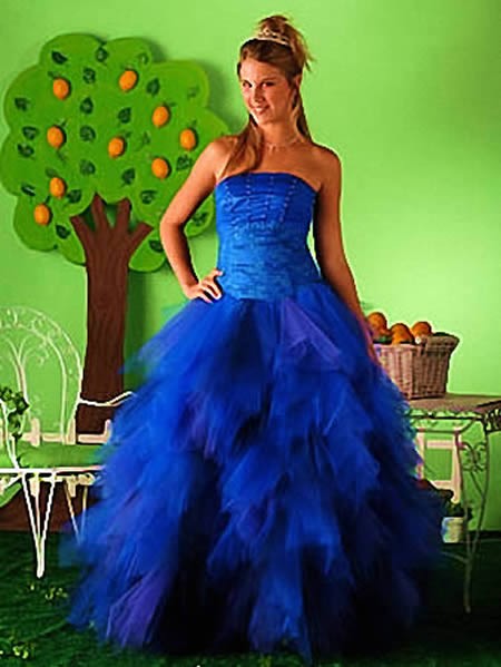 Vestidos de Fiesta - Foto N: 16 de vestidos de fiesta de Vanina Andr - Vestidos Azul Largo
