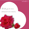 Postales de Amor en Inolvidables15