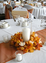 vela blanca